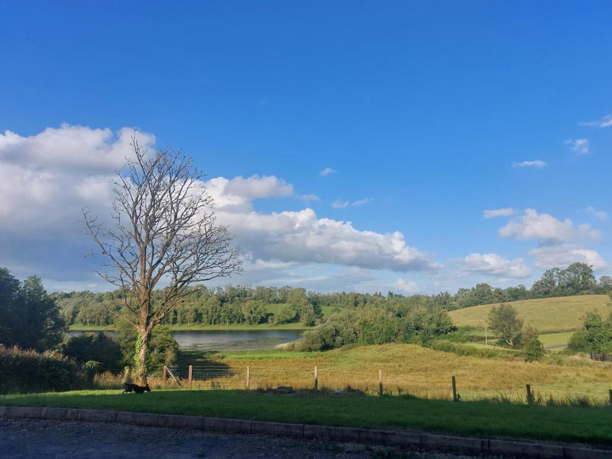 Molly'S Self Catering Accommodation Cavan Extérieur photo